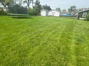 Candace L.'s Lawn Service service result