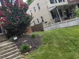 Weeding by Herbert Brown for Cicely M. in Washington, DC