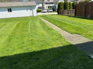 Frezh D.'s Lawn Care service result