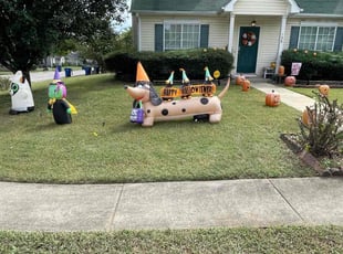 Eric P.'s Lawn Mowing service result