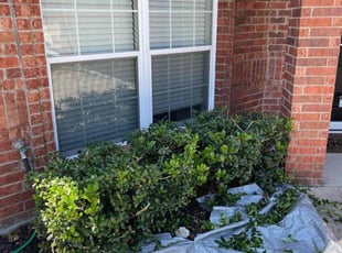 Bush Trimming by Jason Joos for Brian B. in Haslet, TX