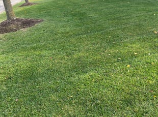 Leaf Removal by Phillip Kukla for Kenneth S. in Hawthorn Woods, IL