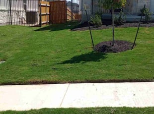 Karen A.'s Lawn Service service result