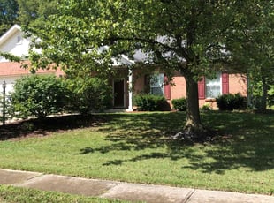 Cris S.'s Lawn Maintenance service result