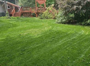 Tyler H.'s Lawn Maintenance service result