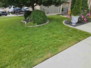 Reece M.'s Lawn Maintenance service result
