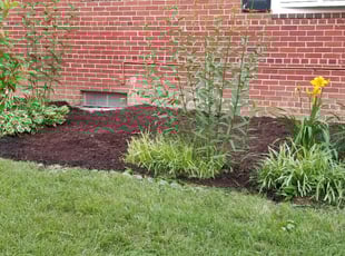 Landscaping by James A. Saulsbury for Matthew B. in Alexandria, VA