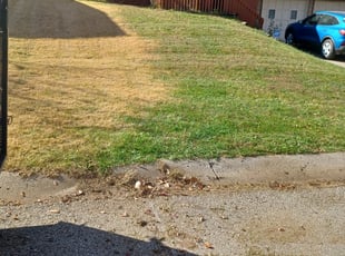 Leaf Removal by Jeffery Hartupee for Jennifer P. in Kansas City, MO