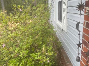 Bush Trimming by Keith Fernandes for Robert J. in Pine Hill, NJ