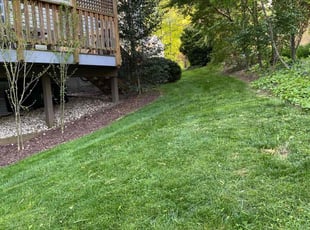 Maxine P.'s Lawn Mowing service result