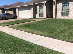 Jeremy P.'s Lawn Mowing service result