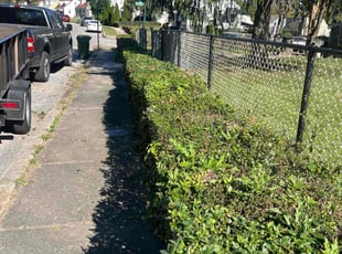 Bush Trimming by Dimas Lopez for Danny A. in Baltimore, MD