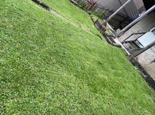 Valerie G.'s Lawn Mowing Service service result