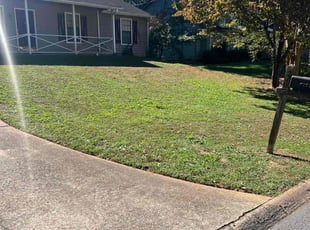 Joseph M.'s Yard Cutting service result