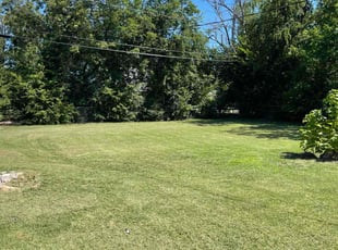 Cathy M.'s Yard Cutting service result