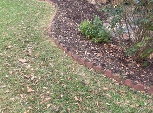 Weeding by Chance Sirey for Teara R. in Houston, TX