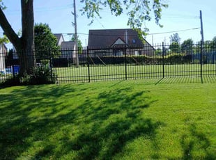 Edna O.'s Lawn Mowing service result