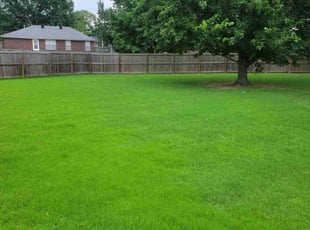 Darcie A.'s Lawn Service service result