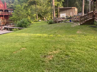 Bush Trimming by Warren Carter for Lavinia W. in Willis, TX