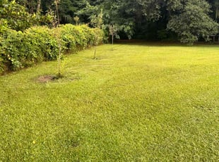 Connie K.'s Lawn Care service result
