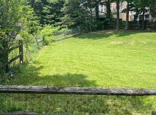 Yvonne C.'s Lawn Mowing Service service result