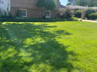 Jaclyn M.'s Lawn Mowing service result