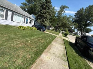 Weeding by Brandon Rachas for Derwin D. in Roseville, MI