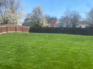 Mark M.'s Lawn Service service result
