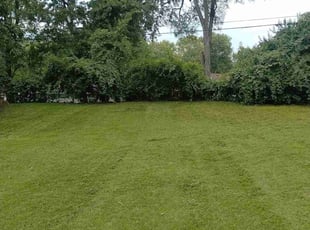 Karen N.'s Lawn Maintenance service result