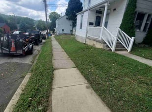 Nathalie L.'s Lawn Mowing service result