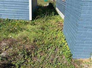 Bush Trimming by Joseph Fullner for Austin S. in Tacoma, WA