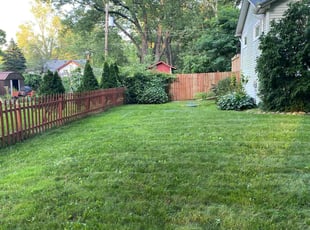 Lori L.'s Yard Cutting service result