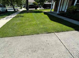 Joan M.'s Lawn Service service result