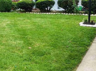 Bush Trimming by Damond Merridith for Nick T. in Florissant, MO