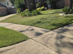 Adam C.'s Yard Cutting service result