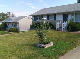 Kapil S.'s Yard Cutting service result