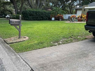 Pauline E.'s Yard Cutting service result