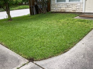Aqueelah W.'s Lawn Mowing service result