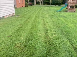 Harry B.'s Lawn Care service result