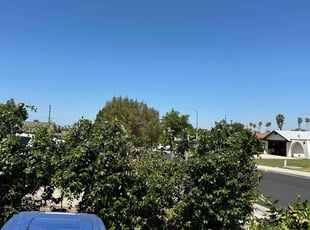 Bush Trimming by Vincent Angelo Consiglio for Rolando A. in Riverside, CA
