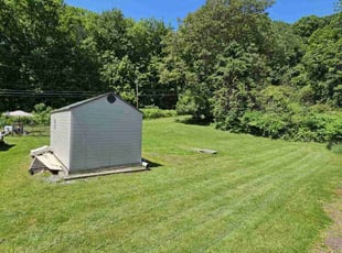 Silvia C.'s Lawn Mowing service result
