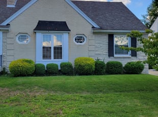 Bush Trimming by Hartford Kaufman Jr. for Doug S. in Louisville, KY