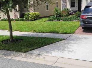 Lisa M.'s Lawn Service service result