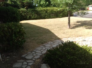 Cleanups by Paul Johnson for Harjot T. in Carmichael, CA