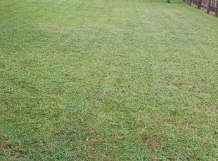 Mindy K.'s Yard Cutting service result
