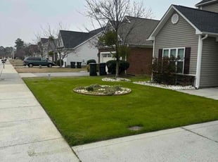 Michele T.'s Lawn Mowing Service service result