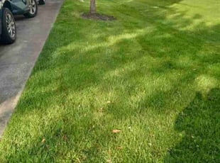 Kevin M.'s Lawn Mowing service result