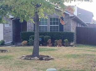 Bush Trimming by Marcedes Ginn for Adithya E. in Frisco, TX