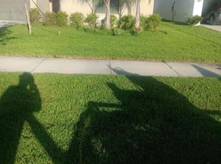 Courtney A.'s Lawn Mowing Service service result