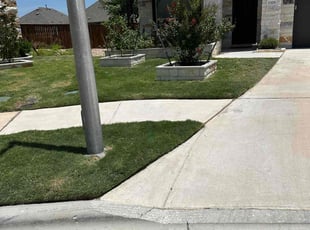 Shawn M.'s Yard Cutting service result